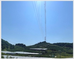  2024Ÿ103157 泲 Ծȱ ĥϸ ̷ɸ 113      ()