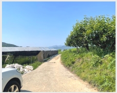  2024Ÿ103157 泲 Ծȱ ĥϸ ̷ɸ 113      ()