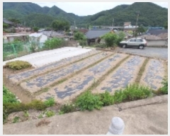  2024Ÿ��103256 �泲 â���� ���������� ���ϸ� �̸� 233     ����(����)���