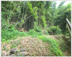  2024Ÿ��103454 �泲 �Ծȱ� ���ϸ� �絵�� 101      ����(����)���