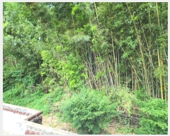  2024Ÿ��103454 �泲 �Ծȱ� ���ϸ� �絵�� 101      ����(����)���