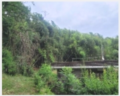  2024Ÿ��103454 �泲 �Ծȱ� ���ϸ� �絵�� 101      ����(����)���