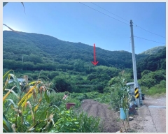  2024Ÿ��104471 �泲 �Ƿɱ� ����� ��Ҹ� 55      ����(��1)���