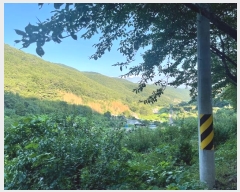  2024Ÿ��104471 �泲 �Ƿɱ� ����� ��Ҹ� 55      ����(��1)���