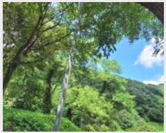  2024Ÿ��104471 �泲 �Ƿɱ� ����� ��Ҹ� 55      ����(��1)���