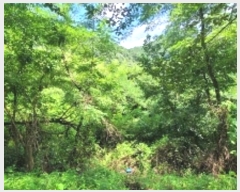  2024Ÿ��104471 �泲 �Ƿɱ� ����� ��Ҹ� 55      ����(��1)���