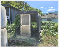  2024Ÿ104778 泲 Ƿɱ ÷ 踮 401-2      ()