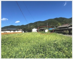  2024Ÿ104778 泲 Ƿɱ ÷ 踮 401-2      ()