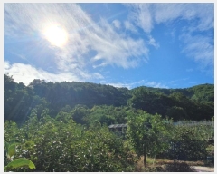  2024Ÿ105238 泲 Ծȱ ĥϸ ˴ܸ 78-1      (1)