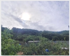  2024Ÿ105238 泲 Ծȱ ĥϸ ˴ܸ 78-1      (1)