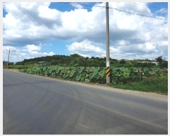  2024Ÿ105320 泲 Ծȱ ĥ 뼺 424-74      ()