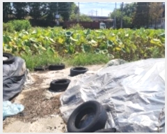  2024Ÿ105320 泲 Ծȱ ĥ 뼺 424-74      ()