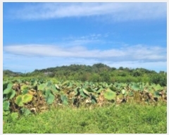  2024Ÿ105320 泲 Ծȱ ĥ 뼺 424-74      ()