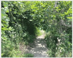  2024Ÿ��106576  ���������