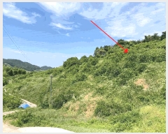  2024Ÿ��106576  ���������