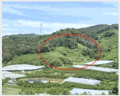  2024Ÿ��106576  ���������