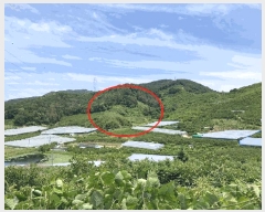  2024Ÿ��106576  ���������