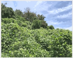  2024Ÿ��106576  ���������