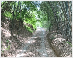  2024Ÿ��106576  ���������