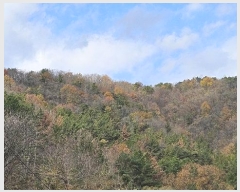  2024Ÿ106873 泲 Ƿɱ  ΰ 69      (Ӿ)