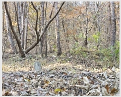  2024Ÿ106873 泲 Ƿɱ  ΰ 69      (Ӿ)