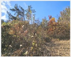  2024Ÿ106873 泲 Ƿɱ  ΰ 69      (Ӿ)