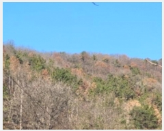  2024Ÿ106873 泲 Ƿɱ  ΰ 69      (Ӿ)