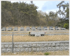  2024Ÿ107470 泲 â    64-7     (Ӿ)