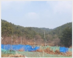  2024Ÿ107470 泲 â    64-7     (Ӿ)