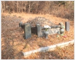  2024Ÿ107470 泲 â    64-7     (Ӿ)