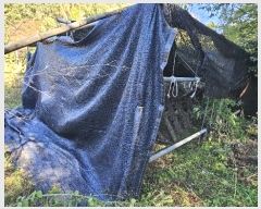  2024Ÿ2728 泲 Ծȱ Ծȸ  111      ()