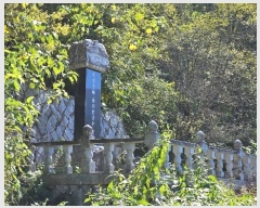  2024Ÿ2728 泲 Ծȱ Ծȸ  111      ()