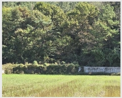  2024Ÿ2728 泲 Ծȱ Ծȸ  111      ()