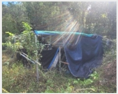  2024Ÿ2728 泲 Ծȱ Ծȸ  111      ()