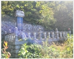  2024Ÿ2728 泲 Ծȱ Ծȸ  111      ()