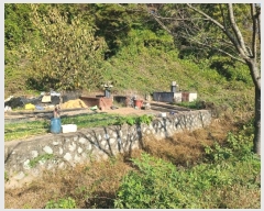  2024Ÿ2926 泲 Ƿɱ  и 498-10      (1)