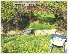  2024Ÿ2926 泲 Ƿɱ  и 498-10      (1)