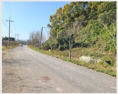  2024Ÿ2926 泲 Ƿɱ  и 498-10      (1)