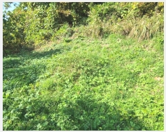  2024Ÿ2926 泲 Ƿɱ  и 498-10      (1)