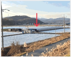  2024Ÿ��3196  ����