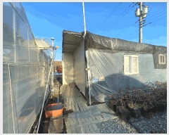  2024Ÿ��3196  ����