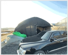  2024Ÿ��3196  ����