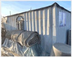  2024Ÿ��3196  ����