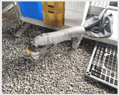  2024Ÿ��3196  ����