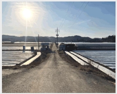  2024Ÿ��3196  ����