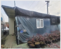  2024Ÿ��3196  ����