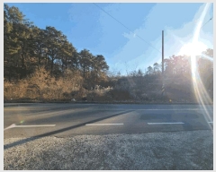  2024Ÿ3233 泲 Ծȱ ϸ  909-1      (1)