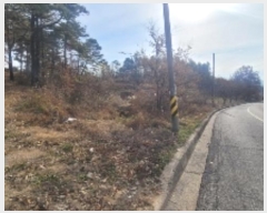  2024Ÿ3233 泲 Ծȱ ϸ  909-1      (1)