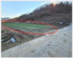  2024Ÿ��3325 �泲 �Ƿɱ� ������ ���긮 892      ����(��)���