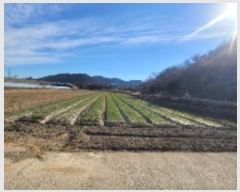  2024Ÿ��3325 �泲 �Ƿɱ� ������ ���긮 892      ����(��)���